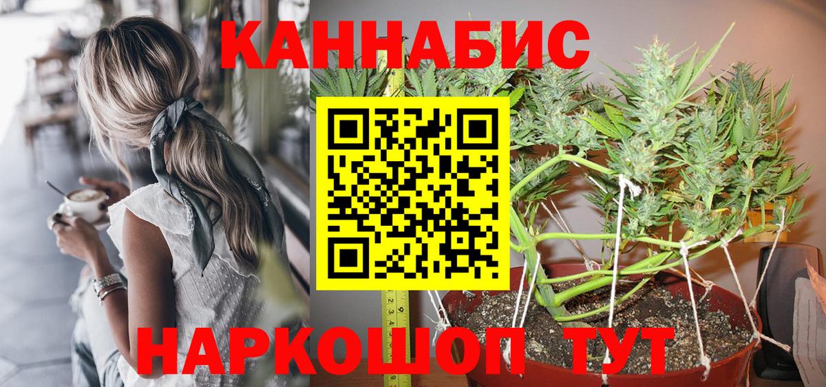 Каннабис семена Кудрово